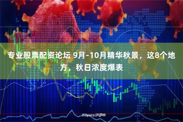 专业股票配资论坛 9月-10月精华秋景，这8个地方，秋日浓度爆表