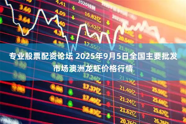 专业股票配资论坛 2025年9月5日全国主要批发市场澳洲龙虾价格行情