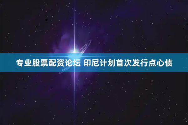 专业股票配资论坛 印尼计划首次发行点心债
