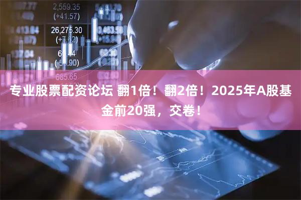 专业股票配资论坛 翻1倍！翻2倍！2025年A股基金前20强，交卷！